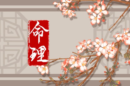 卦占卜免费测算|流年命盘排盘|八字看女命贞洁|甲子排盘|占卜卦象解释